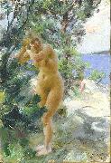 Anders Zorn After the Bath, France oil painting artist